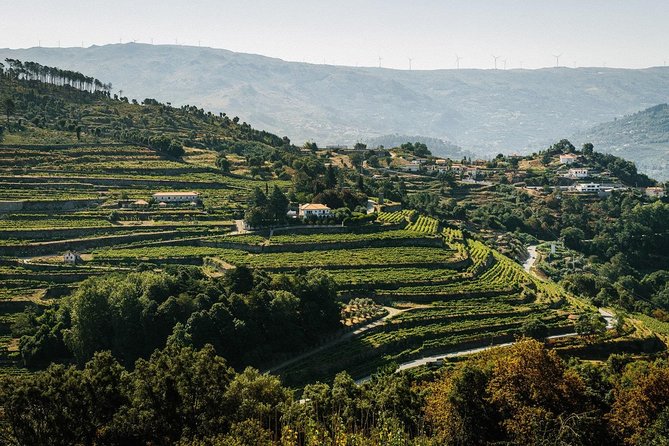 Premium Private Douro & Vinho Verde Tour: Wine Tastings & Lunch - Good To Know