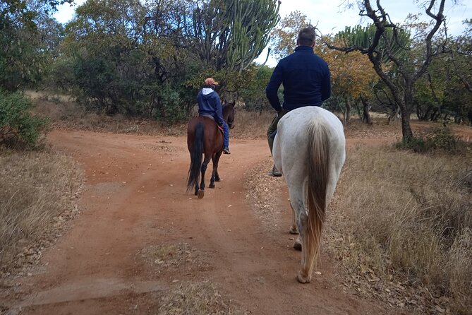 Pretoria Private Half-Day Horseback Riding Safari - Good To Know