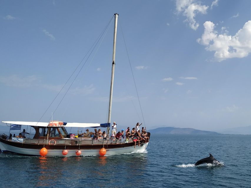 Preveza: Dolphin Watching Cruise With Lunch and Drinks - Good To Know