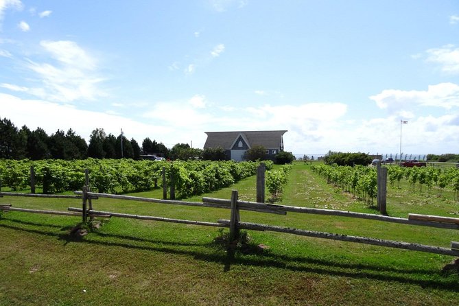 Prince Edward Island Mead, Cider, and Wine Private Tour  – Charlottetown
