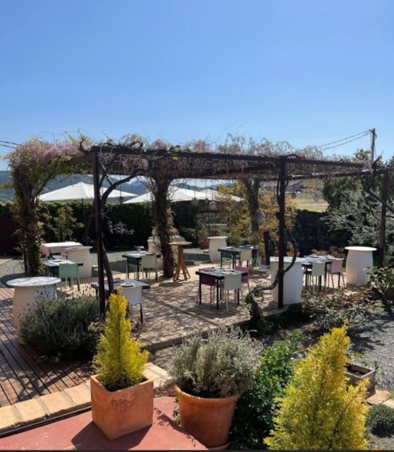 Priorat Tour: 3 Wineries and Olive Oil Tasting Experience - Good To Know