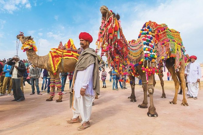 Private 11 Days India Cultural Rajasthan Tour - Good To Know
