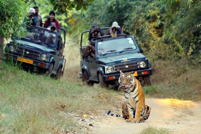 Private 12-Day Safari Tour: Parks & Reserves of Central India (Feb )