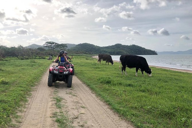 Private 2-3 Hour ATV Tour of Beaches, El Jobo - Playa Hermosa