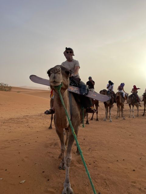 Private 2-Day Camel Trekking With All Inclusive Luxury Camp - Good To Know