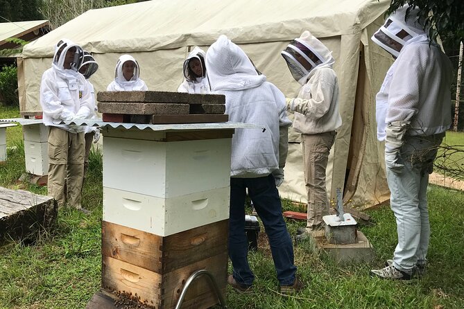 Private 2-Hour Beekeeping Classroom Tour in Honokaa - Good To Know