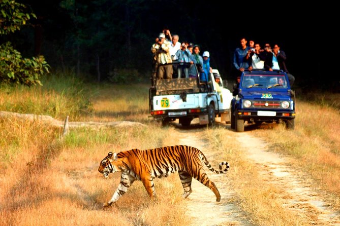 Private 2 Nights Short Escape To Jim Corbett - Good To Know