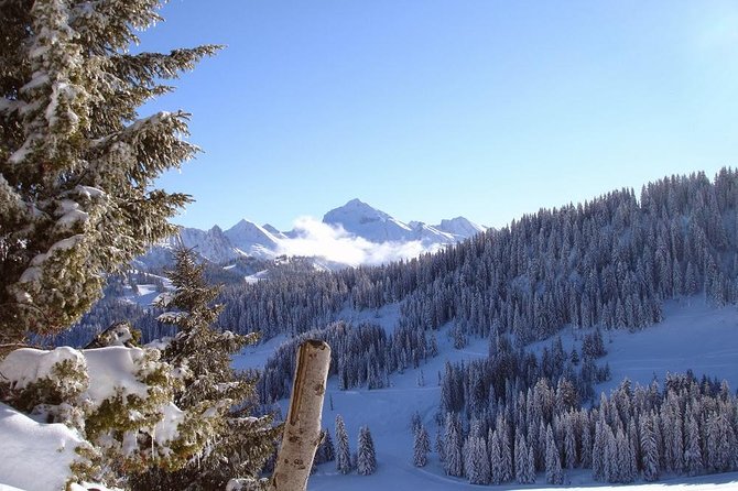 Private 4-Day Getaway With Meals, Manali From Delhi (Feb )