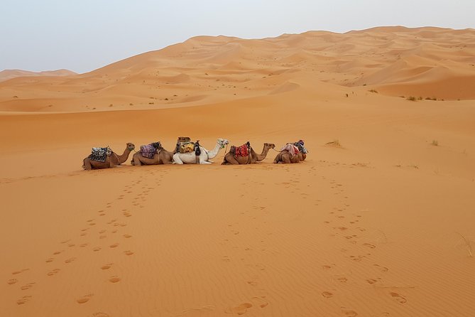 Private 4 Days Desert Tours From Marrakech - Good To Know