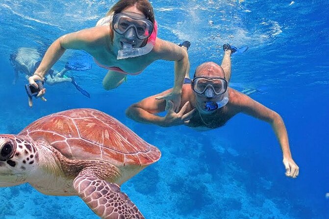 Private 4-Hour Speedboat Tour in the Read Sea From Hurghada - Good To Know