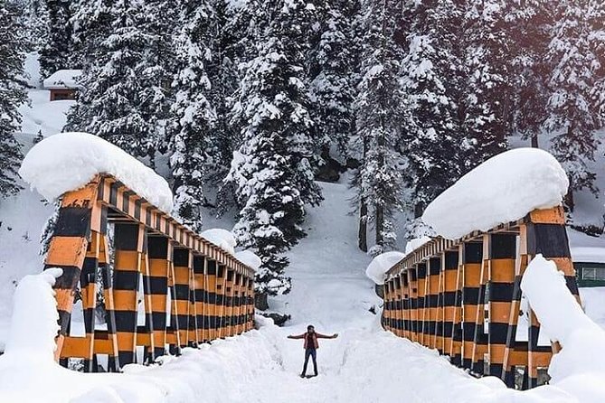 25 Best Tours In Srinagar