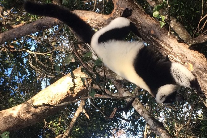 Private 6-Day Garden Route Tour From Cape Town
