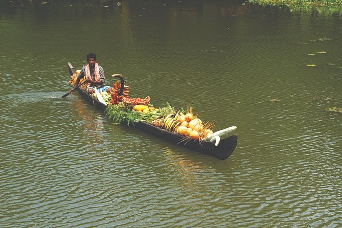 Private 8-Day Tour: Kerala’s Hills, Backwaters, and Beaches  – Kochi