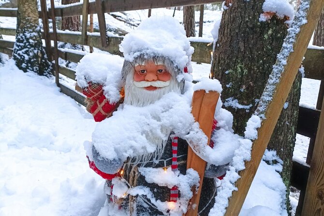 PRIVATE Adventure To The REINDEER Park by VIP Car - Good To Know