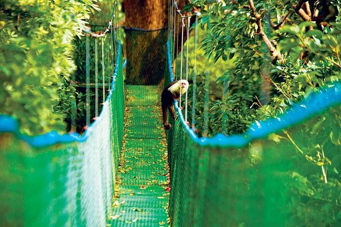 Private Adventure Tour at Rincon De La Vieja (Feb )