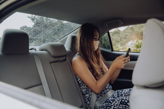 Private Airport Transfer From Honolulu Airport to Waikiki