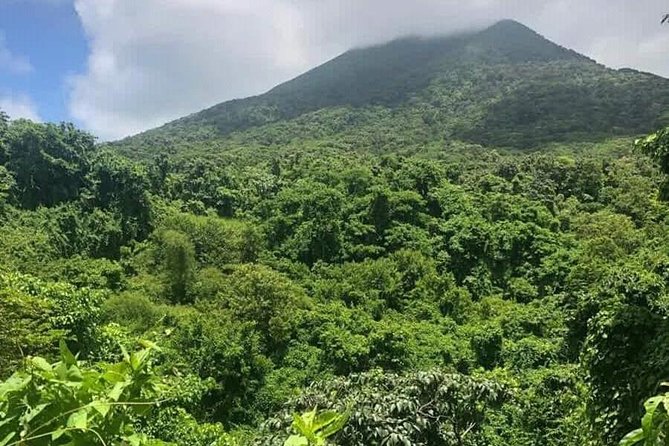 Private Airport Transfer to Belmont Estate Farm, Kititian Hill