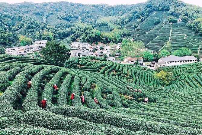 Private Amazing Hangzhou Airport Layover Tour With Lunch or Dinner Option - Good To Know
