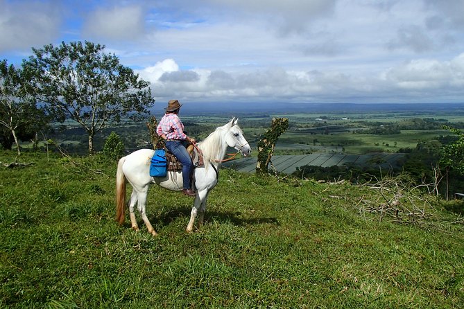 Private and Customized Horseback Riding Adventures - Good To Know