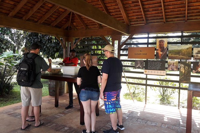Private Appleton Estate Rum Tour From Montego Bay - Tour Pricing and Booking Details