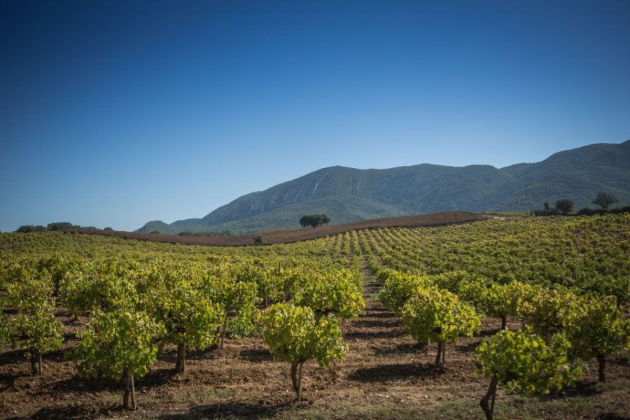 Private Arrábida Wine Tour - Good To Know