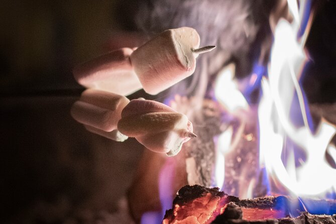 Private Aurora Hunting Through the Forests of Lapland - Good To Know