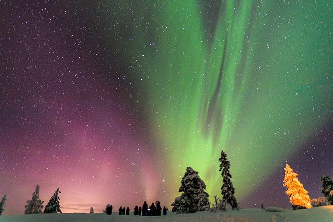 Private Aurora Tour (1-4) by Aurora Experts - Inari-Saariselkä - Good To Know