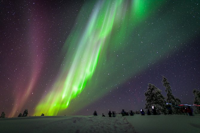 Private Aurora Tour by Lapland Welcome Aurora Experts for 1-4 Persons - Good To Know