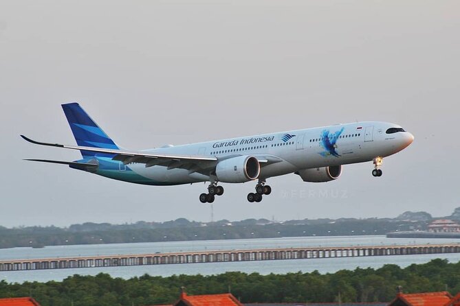 Private Bali Airport Departure Transfer: Hotel to Airport (Departure) - Good To Know