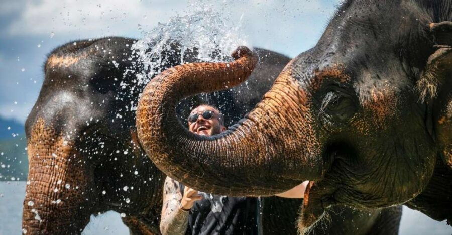 Private Beach With Bathing and Take Care Elephant