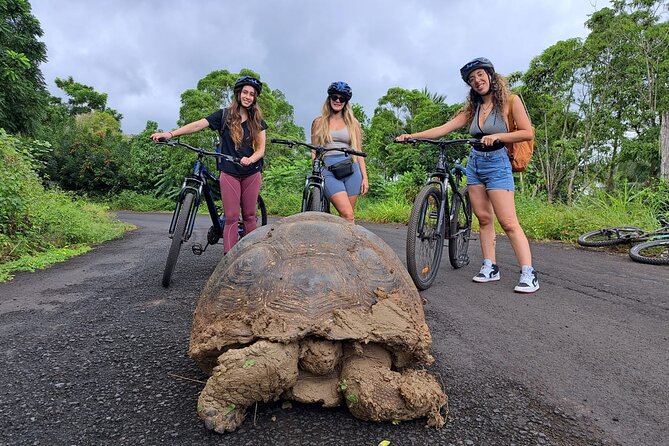 Private BiciTour Giant Tortoises and Lava Tunnel in Galapagos - Good To Know
