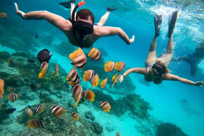 Private Blue Lagoon Snorkeling With Hotel Transfer in Bali - Good To Know