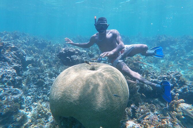 Prívate Boat, Virgin Island and Wonderful Snorqueling in Punta Cana - Good To Know