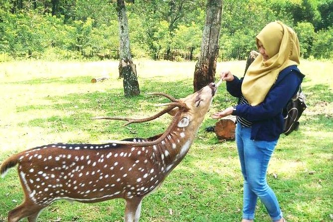 Private Bogor City Tour