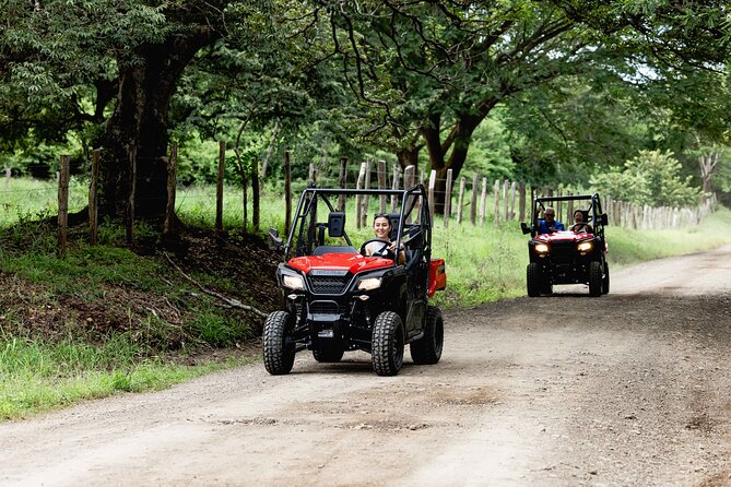 Private Buggy Tour at Tamarindo