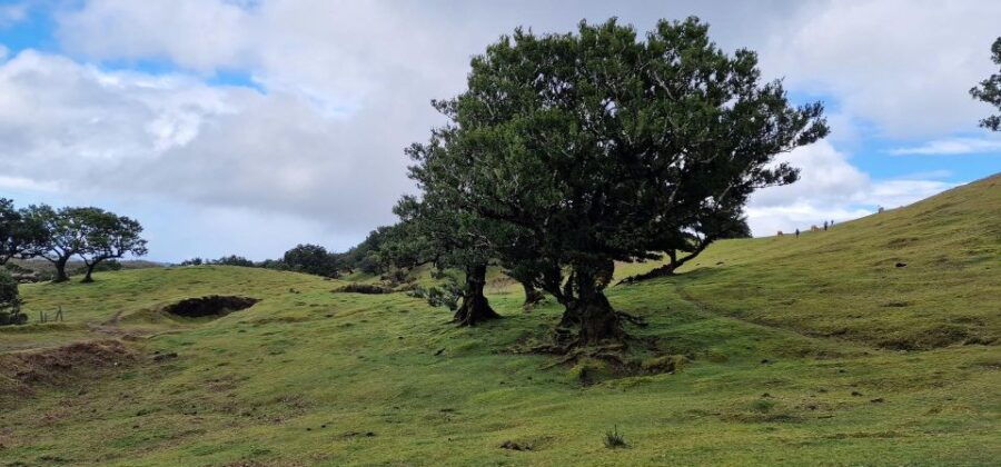 Private - Bus 19 Seater - Good To Know