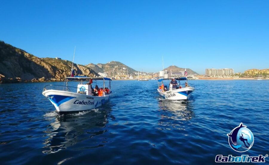 Private Cabo Ocean SAFARI