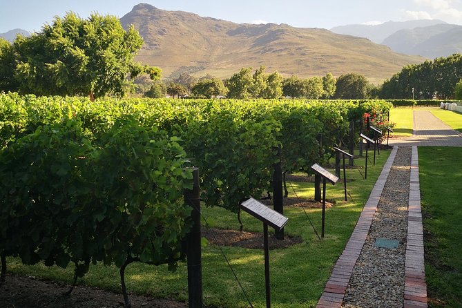 Private Cape Winelands Chauffer-Guide Tour for Small Groups.