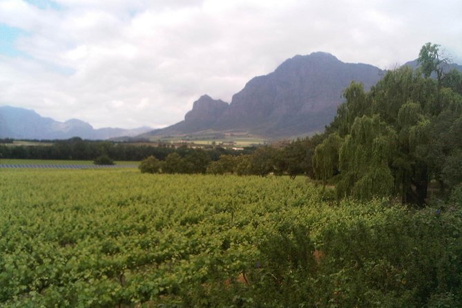 Private Cape Winelands Tour From Cape Town - Good To Know