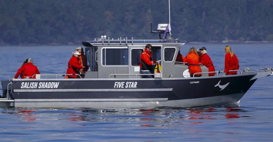 Private Charter - Marine Life and Whale-Watching Boat Tour - Good To Know