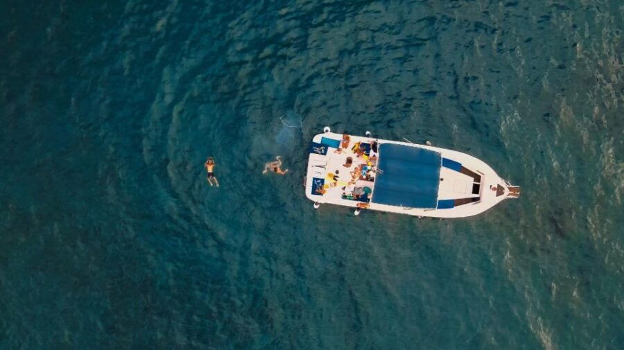 Private Charter Private Charter to See the Whales - 8 Hours - Good To Know