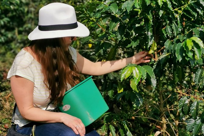 Private Coffee Farm Tour & ATVs: A Super Fun & Educational Day - Good To Know