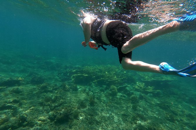 Private Customizable VIP Tour of Puerto Rico