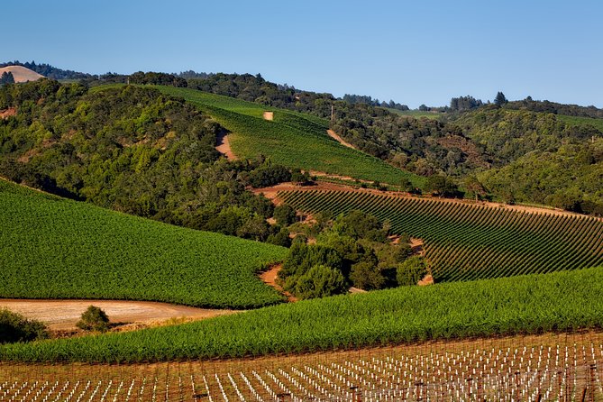 Private, Customized Sonoma Valley Wine Tour
