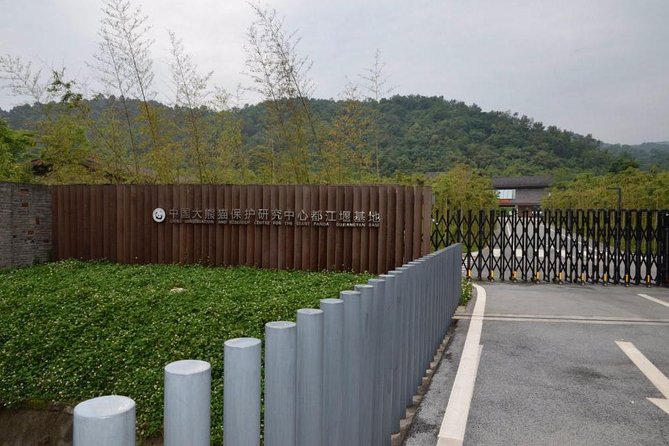 Private Day Tour: Dujiangyan Panda Base Volunteering From Chengdu
