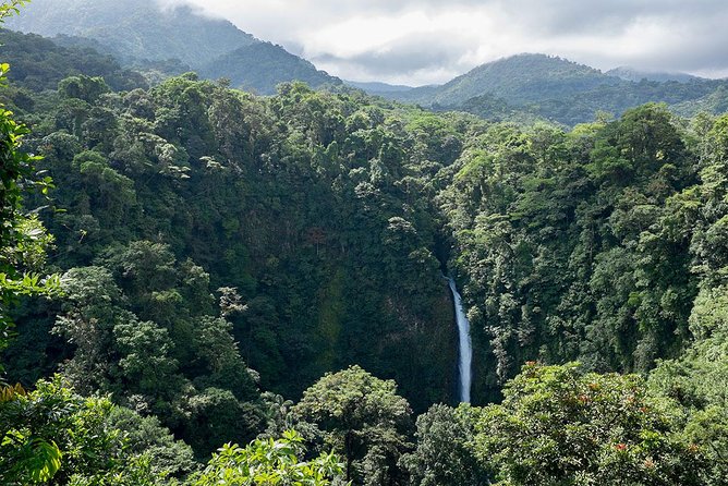 Private Day Tour Into Monteverde Cloud Forest With 4WD Vehicle (Feb )