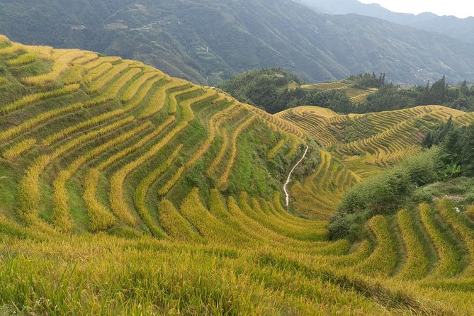 Private Day Tour: Longji Rice Terraces and Long Hair Village - Good To Know