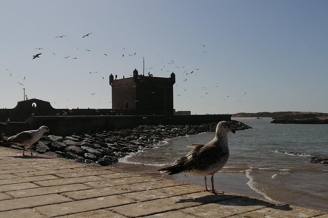 Private Day Trip From Marrakech to Essaouira - Good To Know
