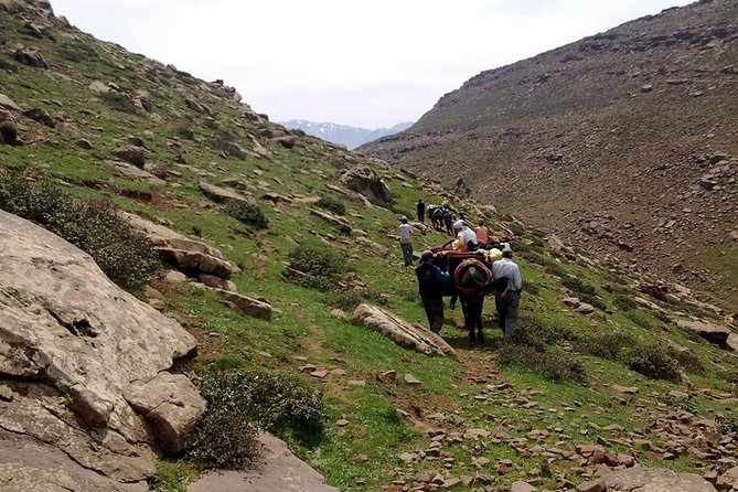 Private Day Trip From Marrakech to Imlil & the Atlas Mountains - Good To Know