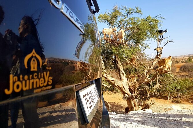 Private Day Trip To Essaouira - Good To Know